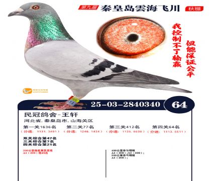 녺��ɴ�����64��