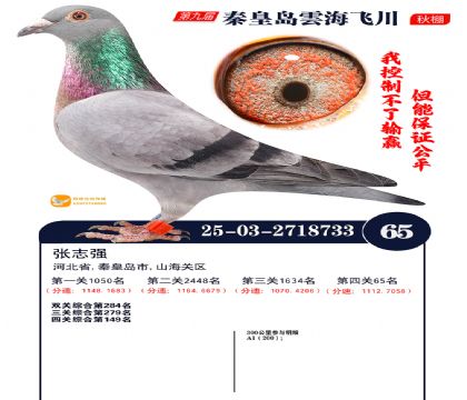 녺��ɴ�����65��