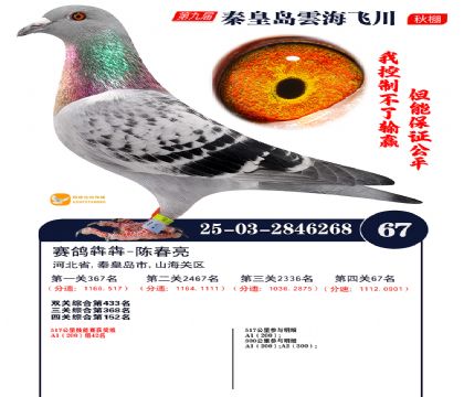 녺��ɴ�����67��