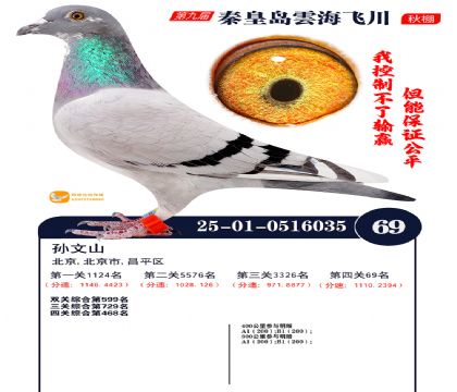 녺��ɴ�����69��