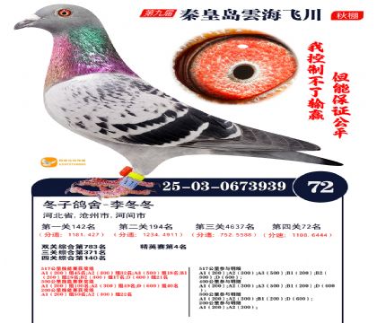 녺��ɴ�����72��