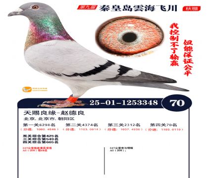 녺��ɴ�����70��