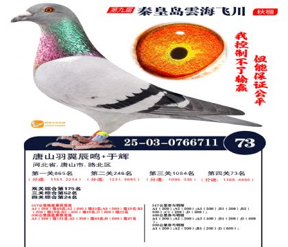 녺��ɴ�����73��