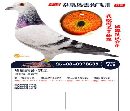 녺��ɴ�����75��