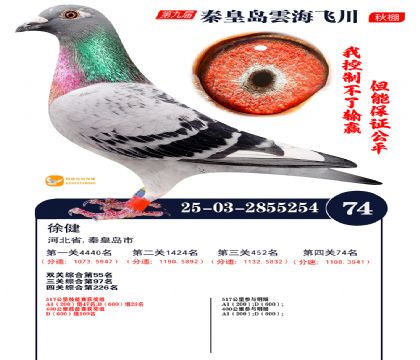 녺��ɴ�����74��