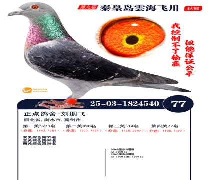 녺��ɴ�����77��