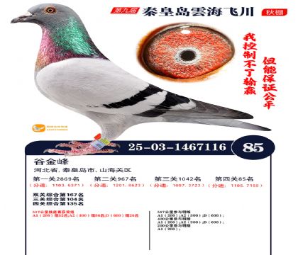 녺��ɴ�����85��