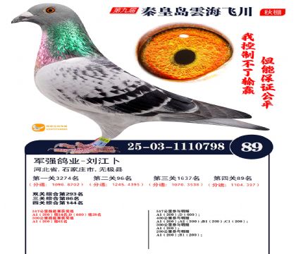 녺��ɴ�����89��