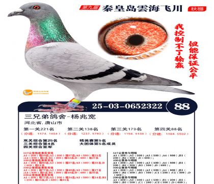 녺��ɴ�����88��