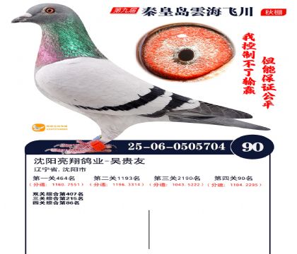 녺��ɴ�����90��