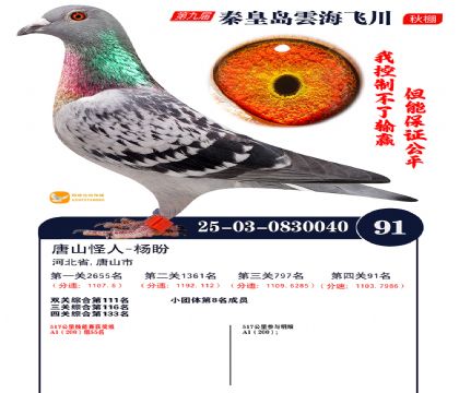 녺��ɴ�����91��