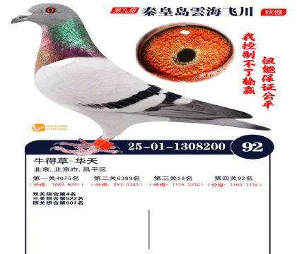 녺��ɴ�����92��