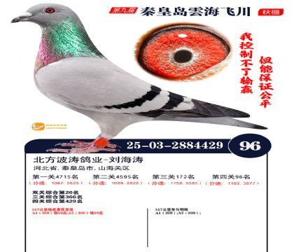 녺��ɴ�����96��