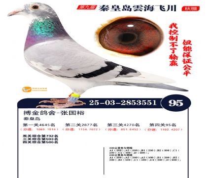 녺��ɴ�����95��