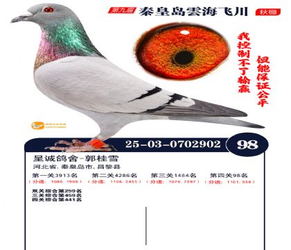 녺��ɴ�����98��