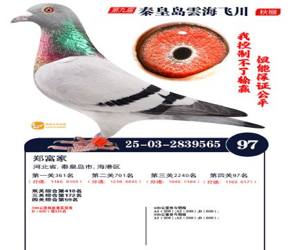 녺��ɴ�����97��