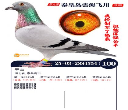 녺��ɴ�����100��