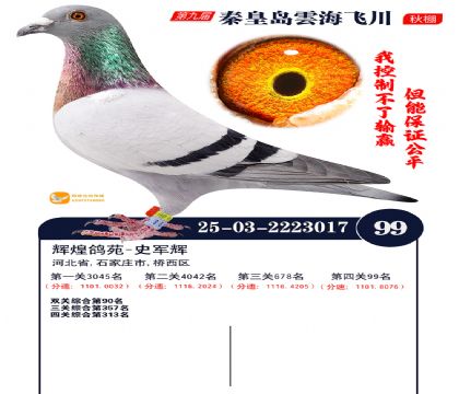 녺��ɴ�����99��