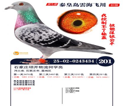 녺��ɴ�����201��