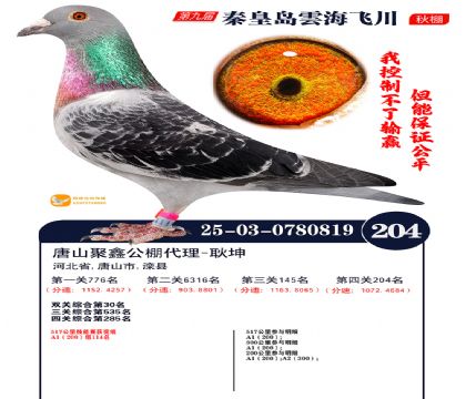 녺��ɴ�����204��