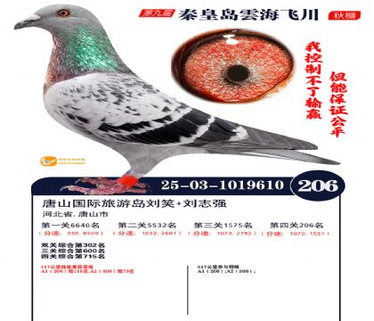 녺��ɴ�����206��