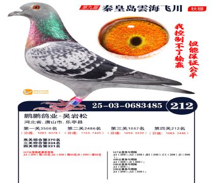 녺��ɴ�����212��