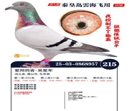 녺��ɴ�����215��