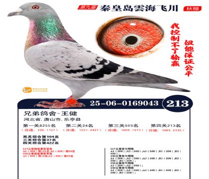 녺��ɴ�����213��