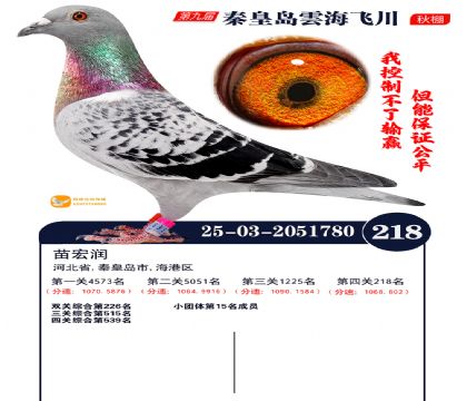 녺��ɴ�����218��