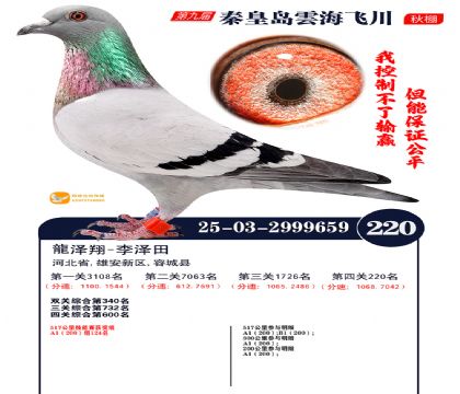 녺��ɴ�����220��