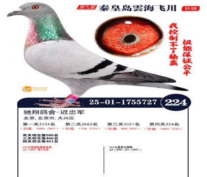 녺��ɴ�����224��