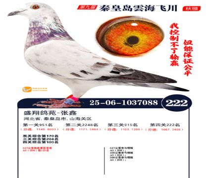 녺��ɴ�����222��