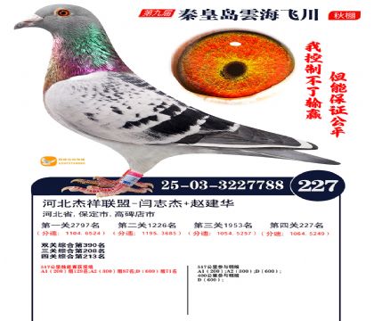 녺��ɴ�����227��