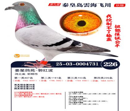 녺��ɴ�����226��