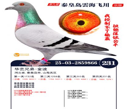 녺��ɴ�����231��