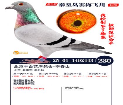 녺��ɴ�����230��