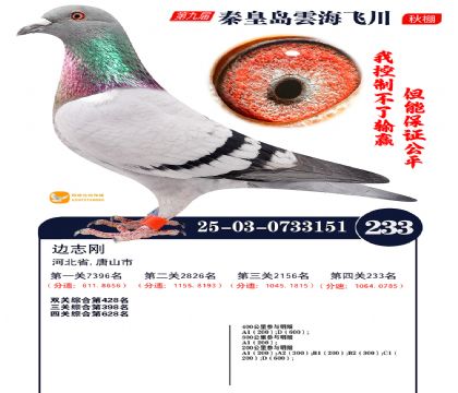 녺��ɴ�����233��