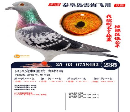 녺��ɴ�����235��