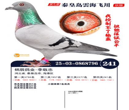 녺��ɴ�����241��