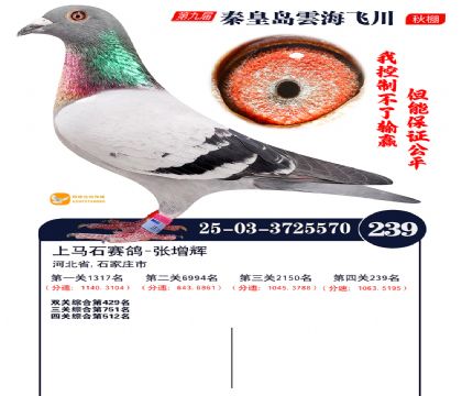 녺��ɴ�����239��