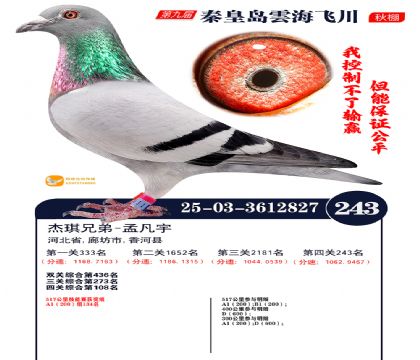 녺��ɴ�����243��