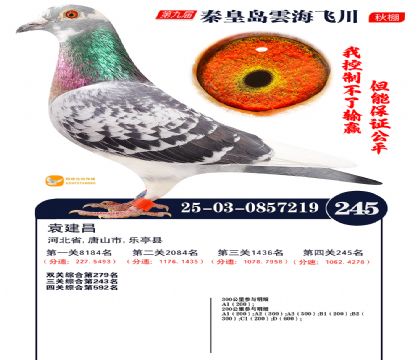 녺��ɴ�����245��