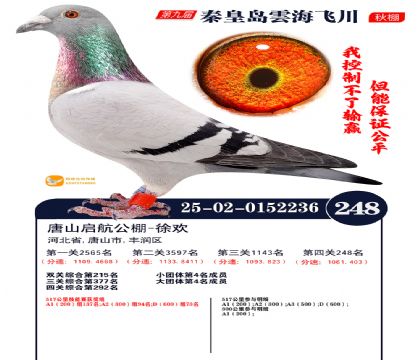 녺��ɴ�����248��