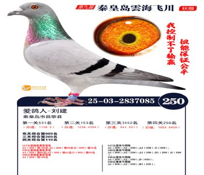 녺��ɴ�����250��