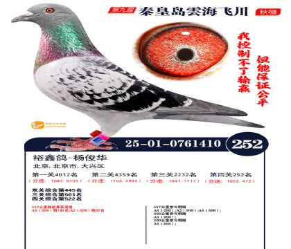 녺��ɴ�����252��