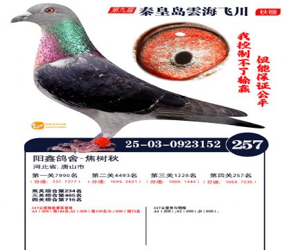 녺��ɴ�����257��