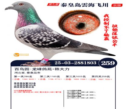 녺��ɴ�����259��