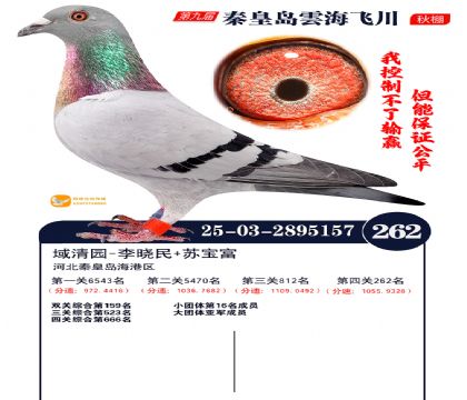 녺��ɴ�����262��