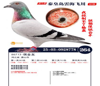 녺��ɴ�����264��