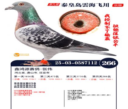 녺��ɴ�����266��